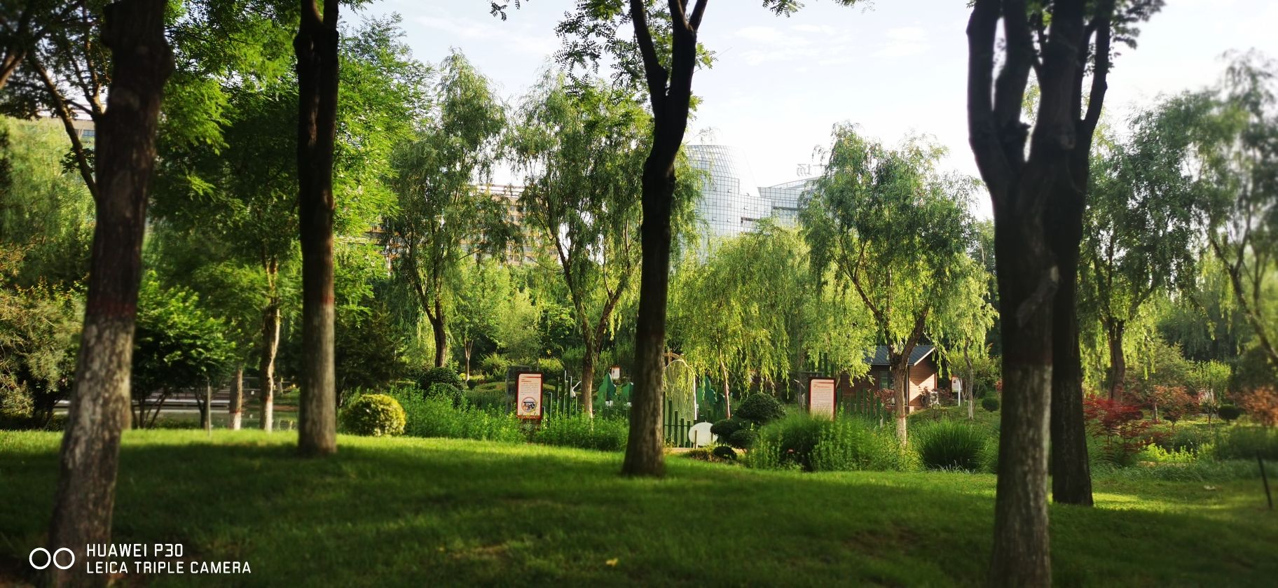 桃园公园旅行图片 3