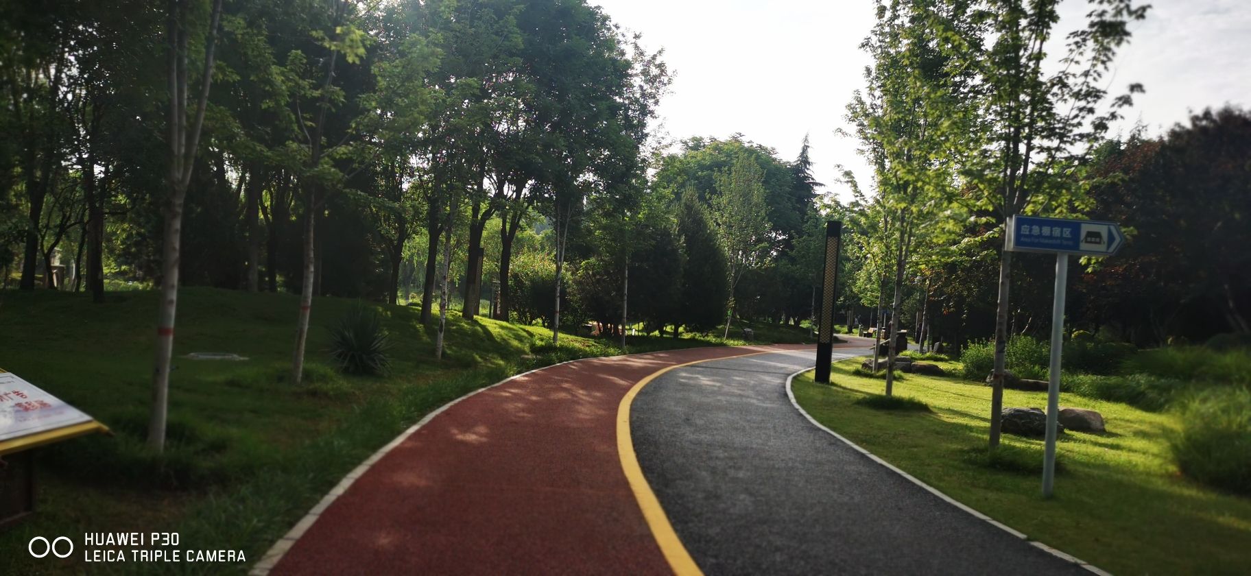 桃园公园旅行图片 2