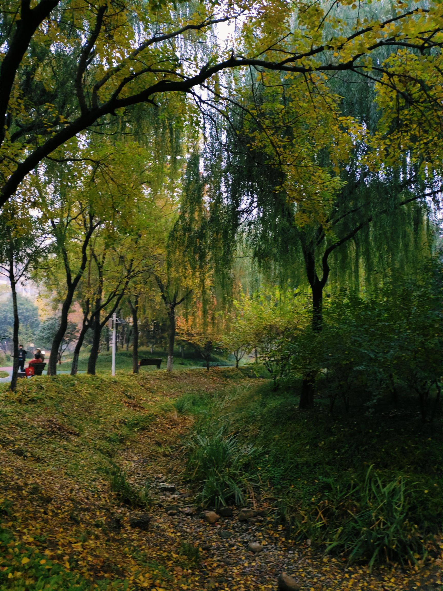 桃园公园旅行图片 2
