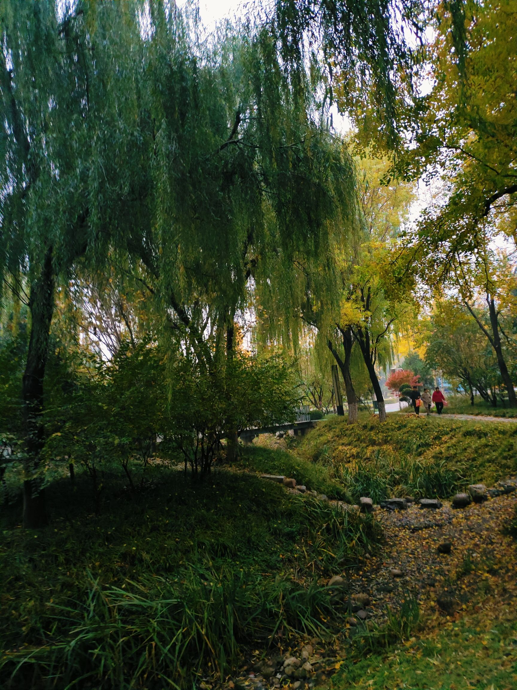 桃园公园旅行图片 1