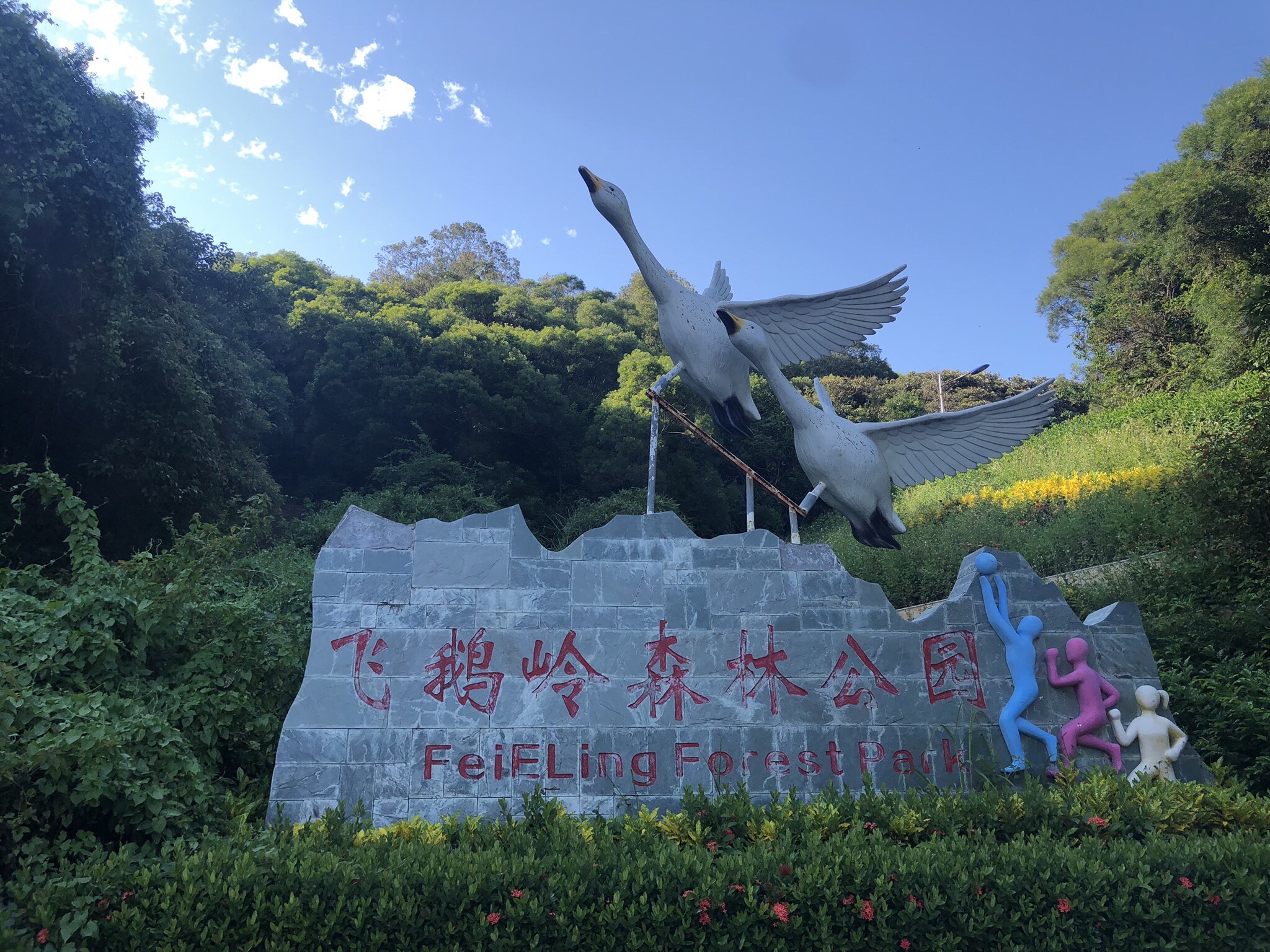 飞鹅岭森林公园