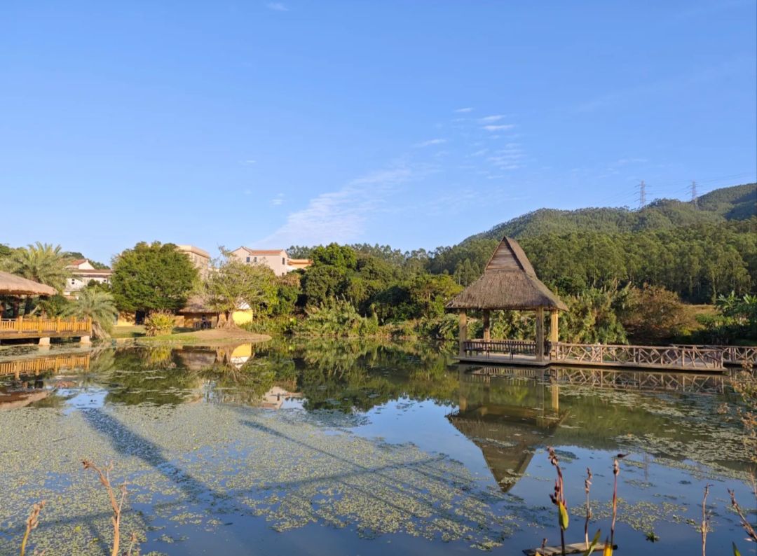 鹭凯生态庄园旅行图片 1