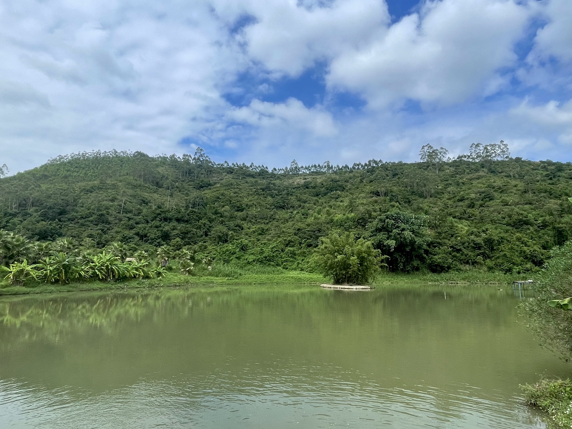 鹭凯生态庄园旅行图片 1