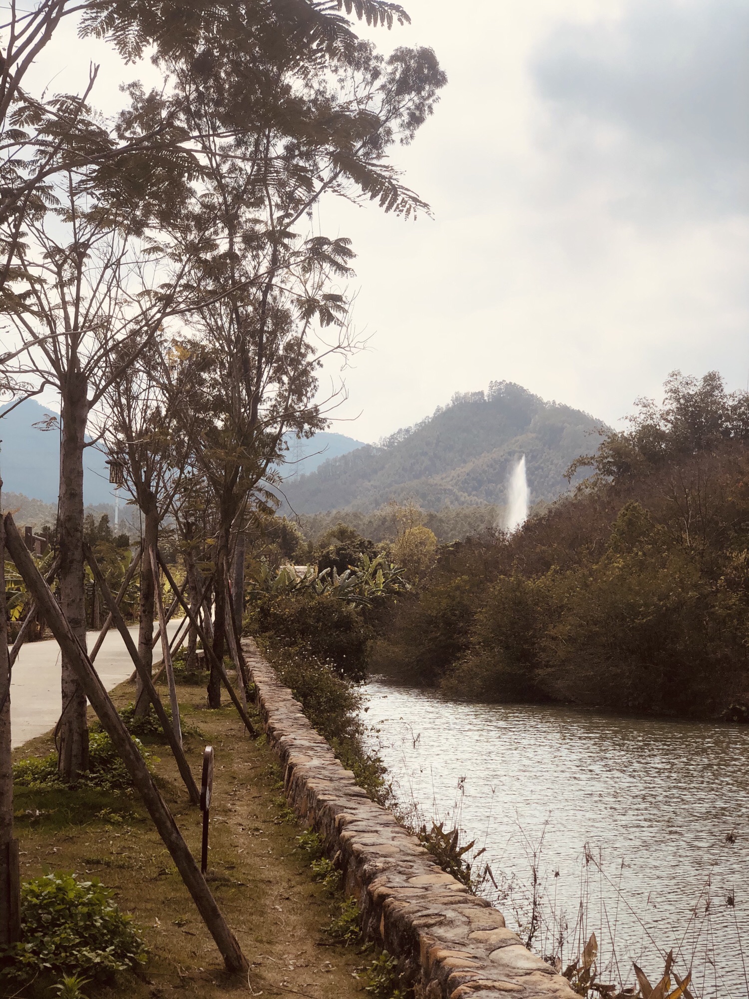 鹭凯生态庄园旅行图片 1