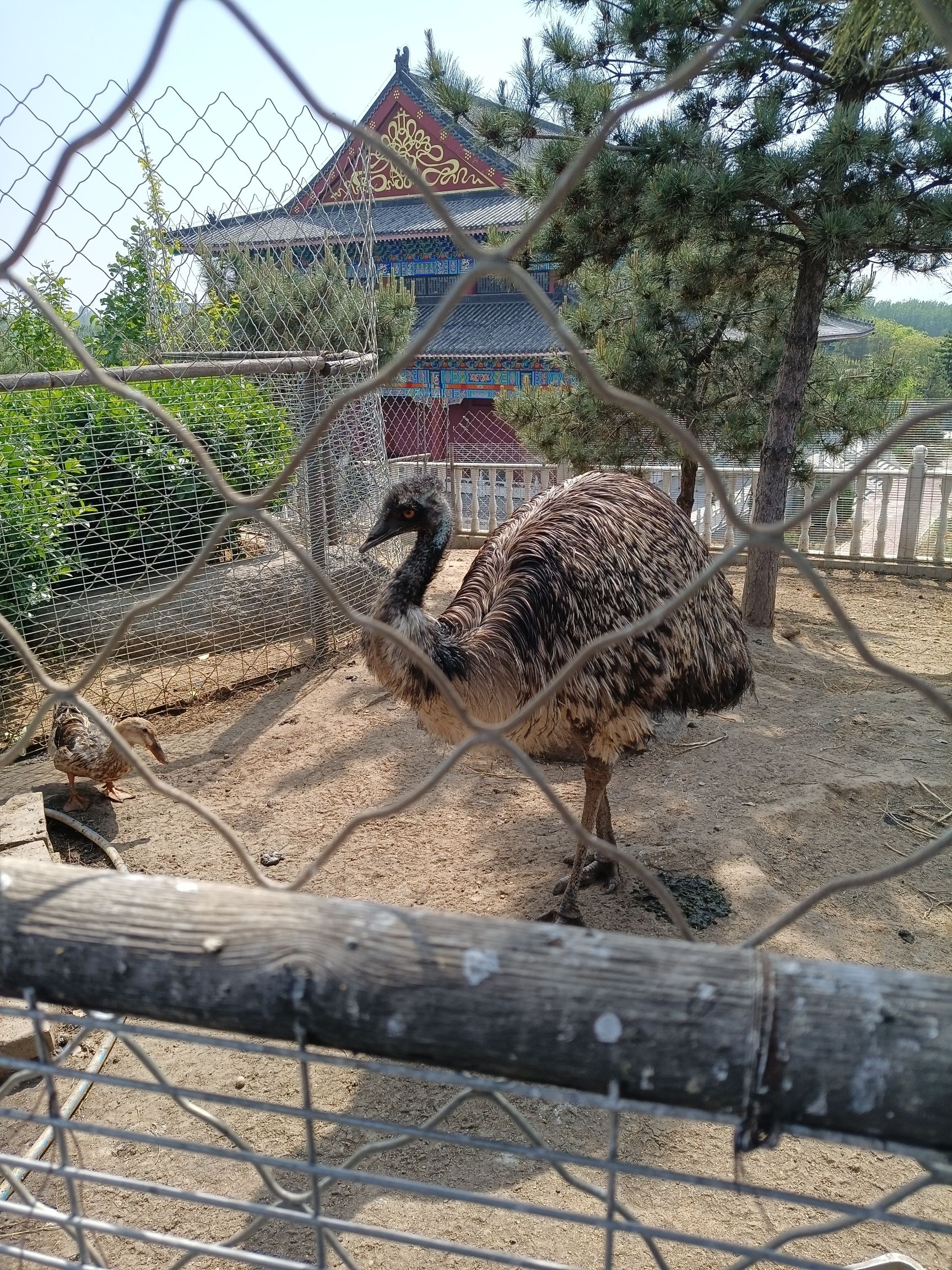 佛山公园旅行图片 3