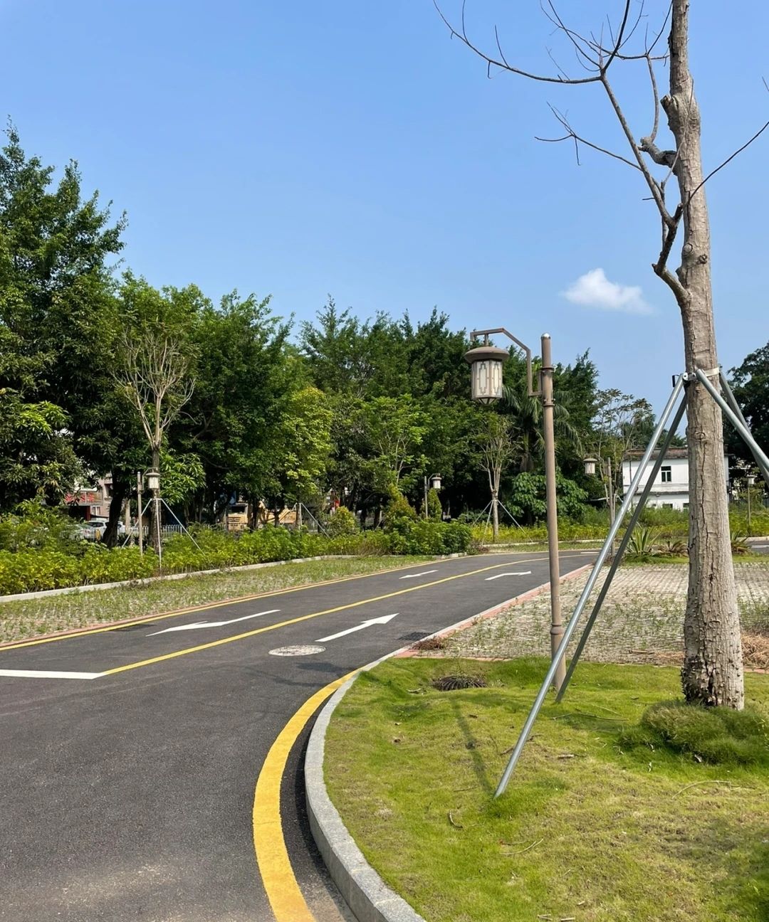 石桥头四知门旅行图片 2