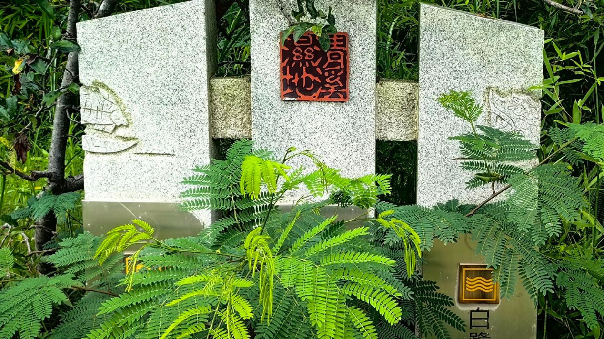 清溪湿地公园旅行图片 1