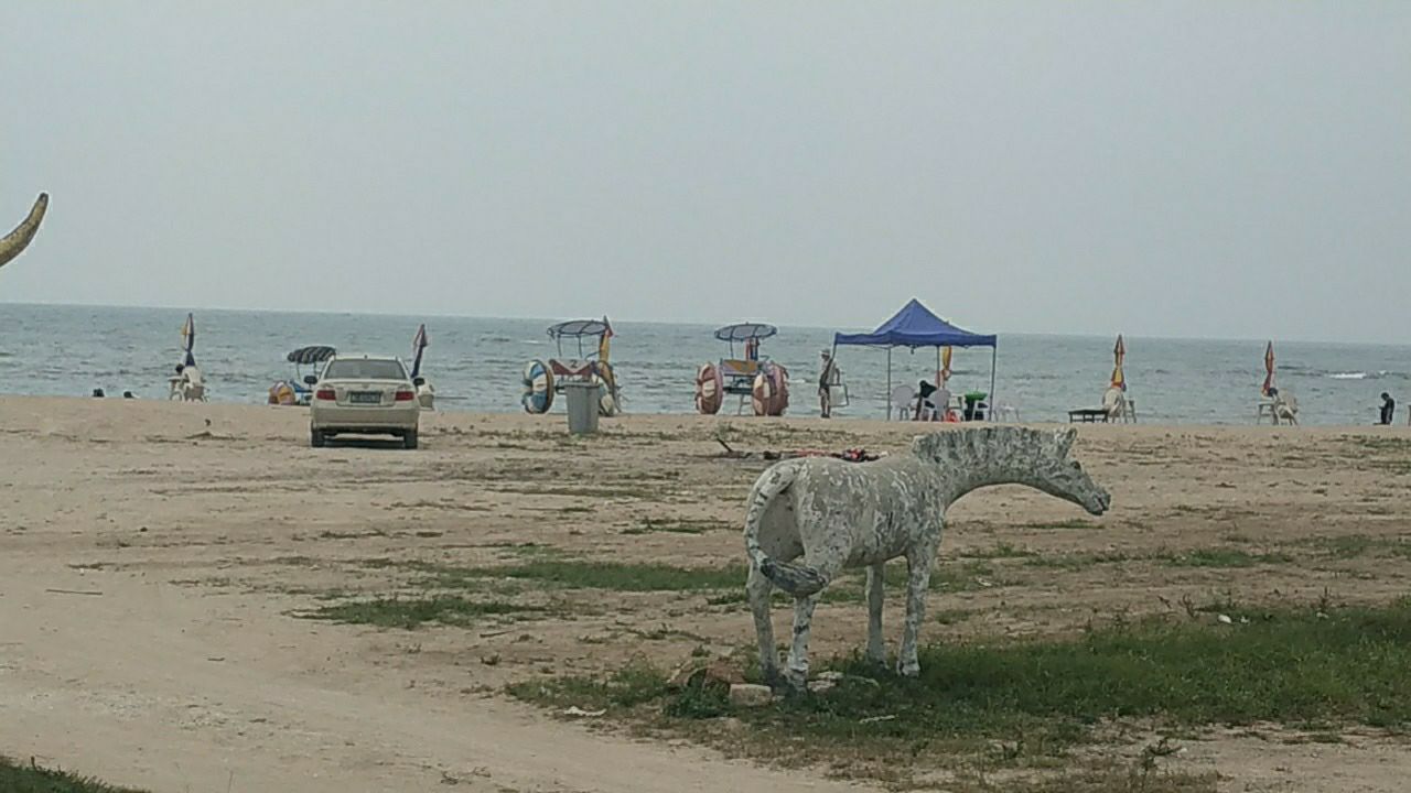 美人鱼旅行图片 3