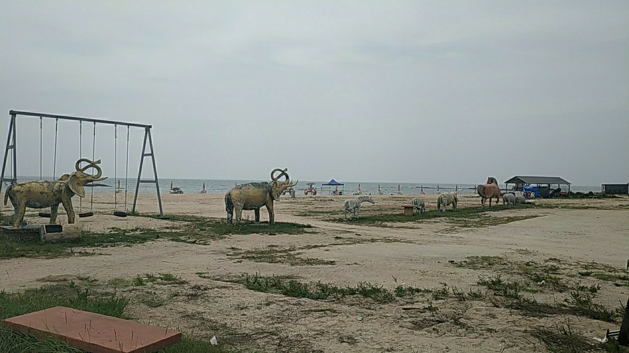 美人鱼旅行图片 1