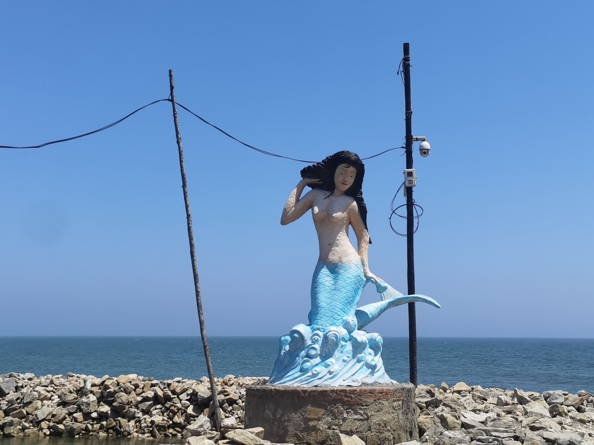 美人鱼旅行图片 1