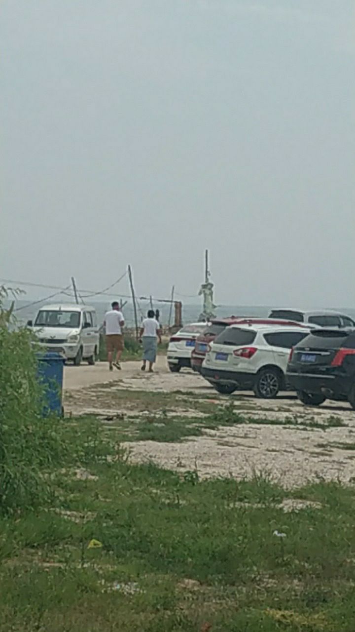 美人鱼旅行图片 2