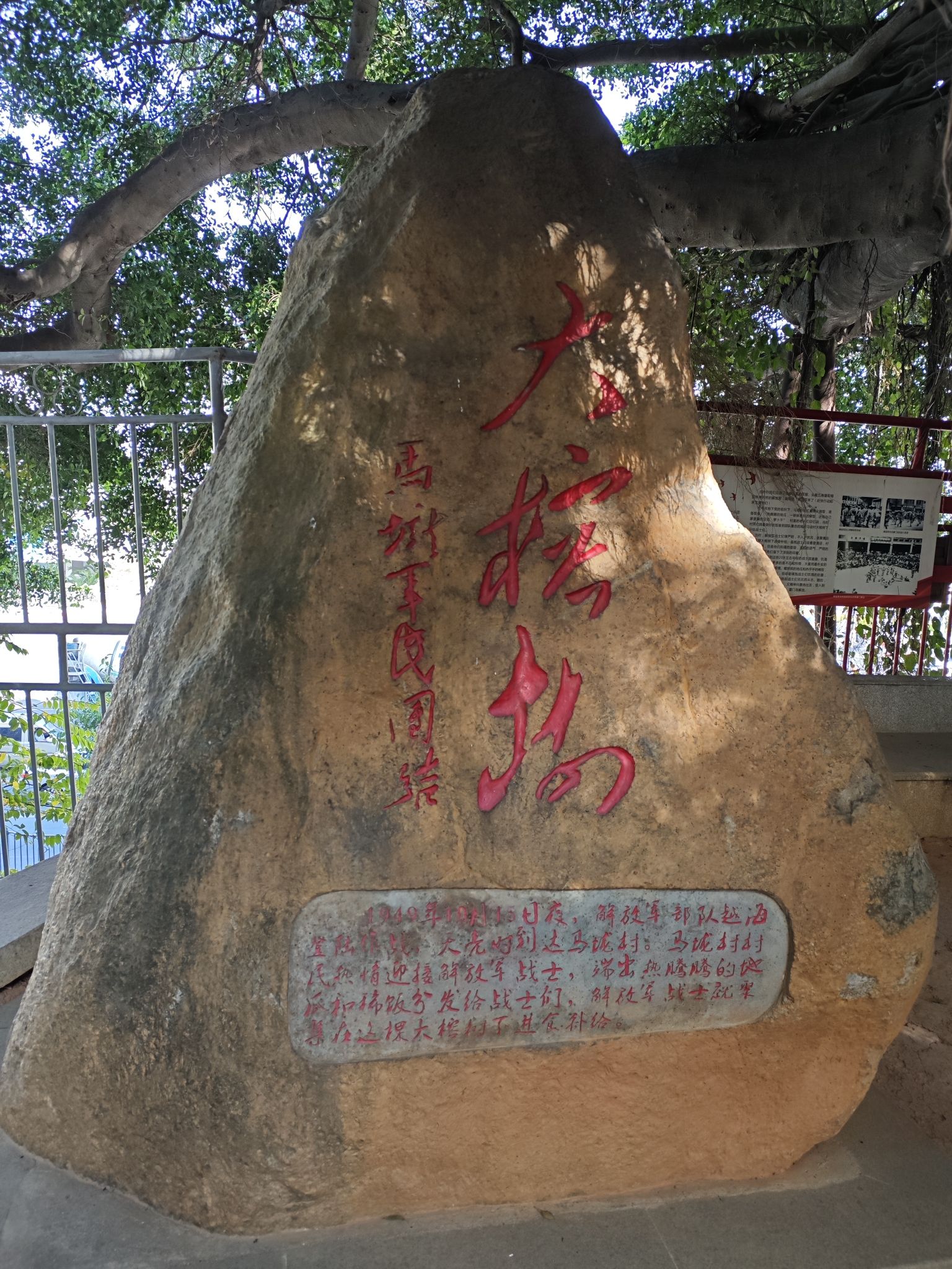 马垅榕树公园旅行图片 1