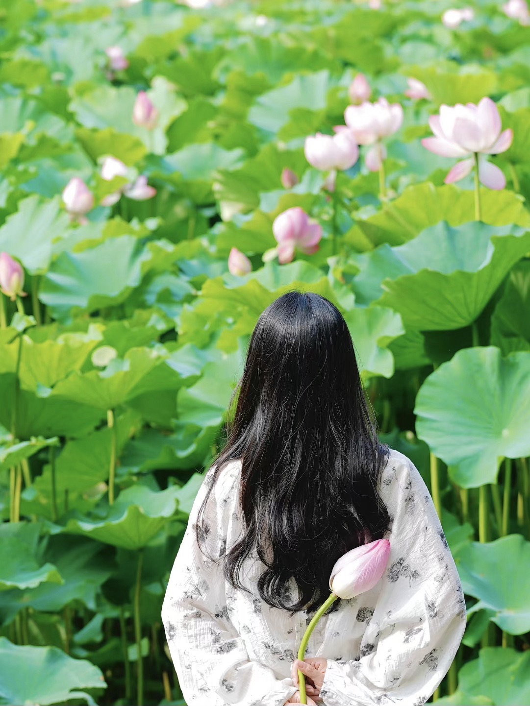 李村河生态全景示范园旅行图片 2