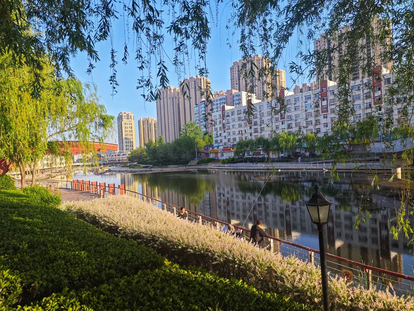 李村河生态全景示范园旅行图片 3