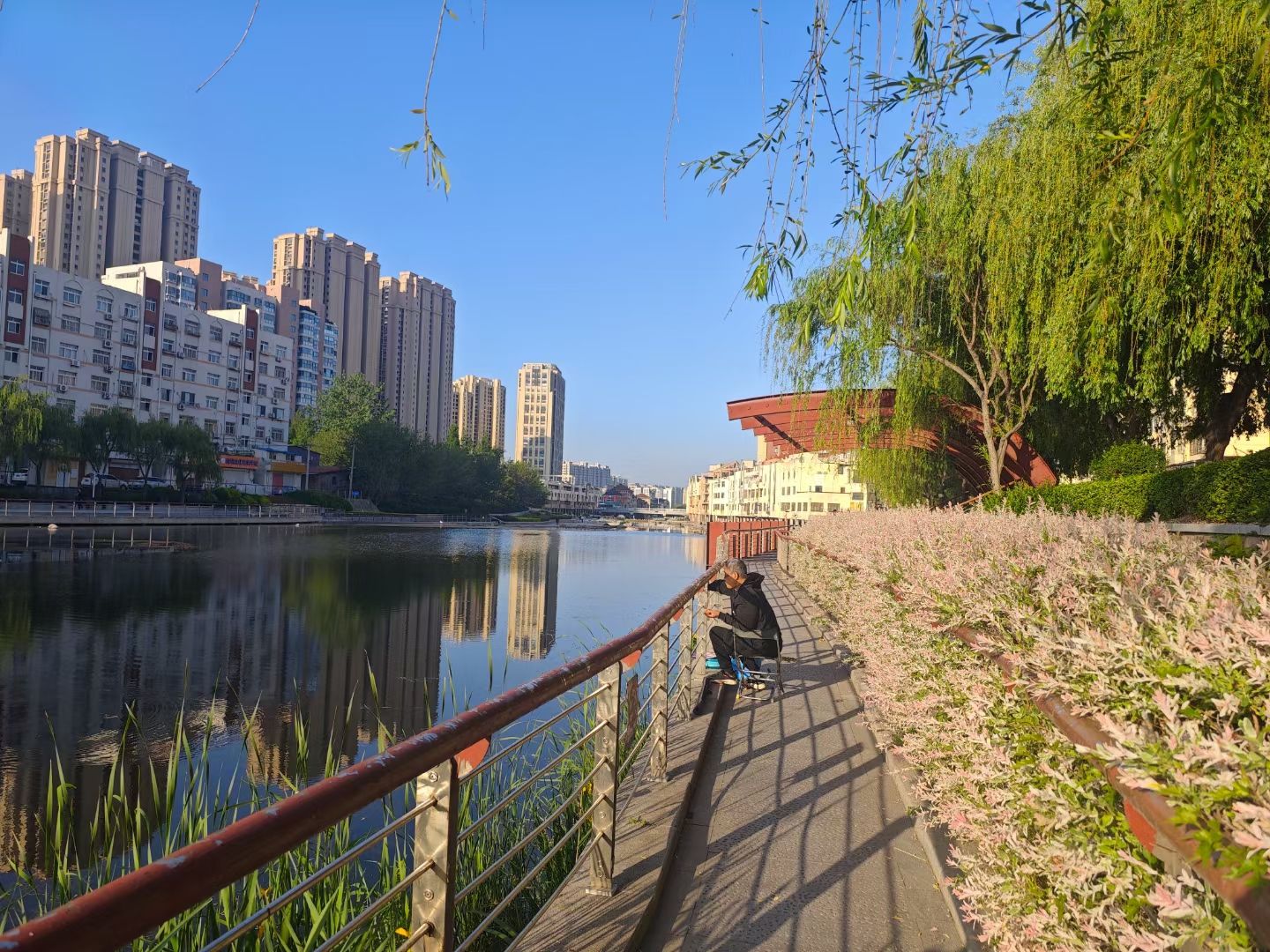 李村河生态全景示范园旅行图片 2