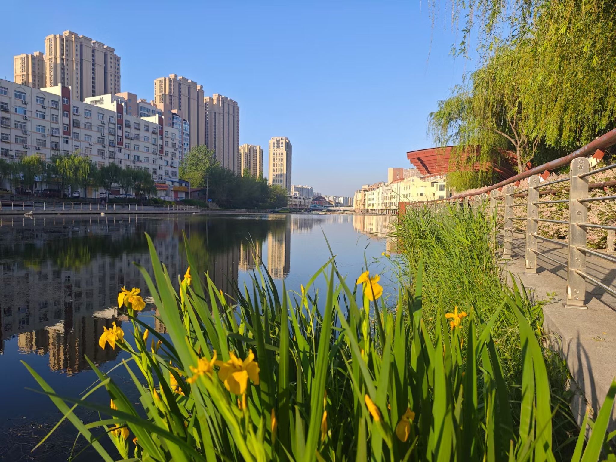 李村河生态全景示范园旅行图片