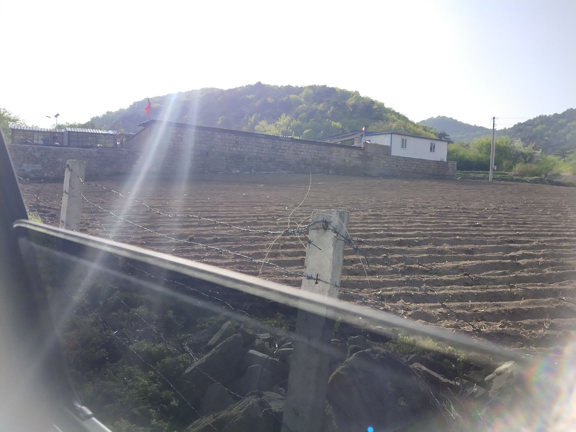 张山疯的泰迪花谷旅行图片 2