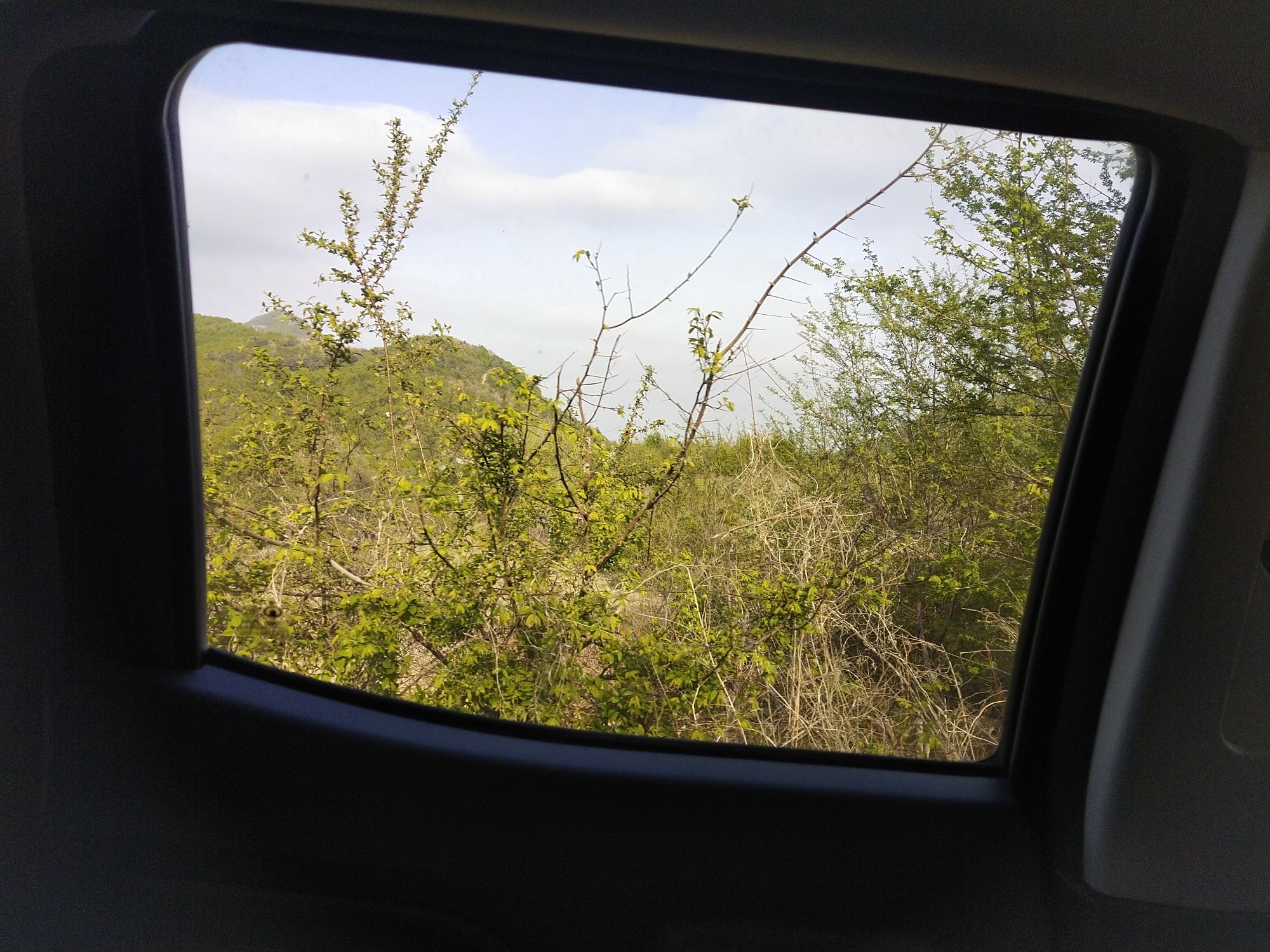张山疯的泰迪花谷旅行图片 1