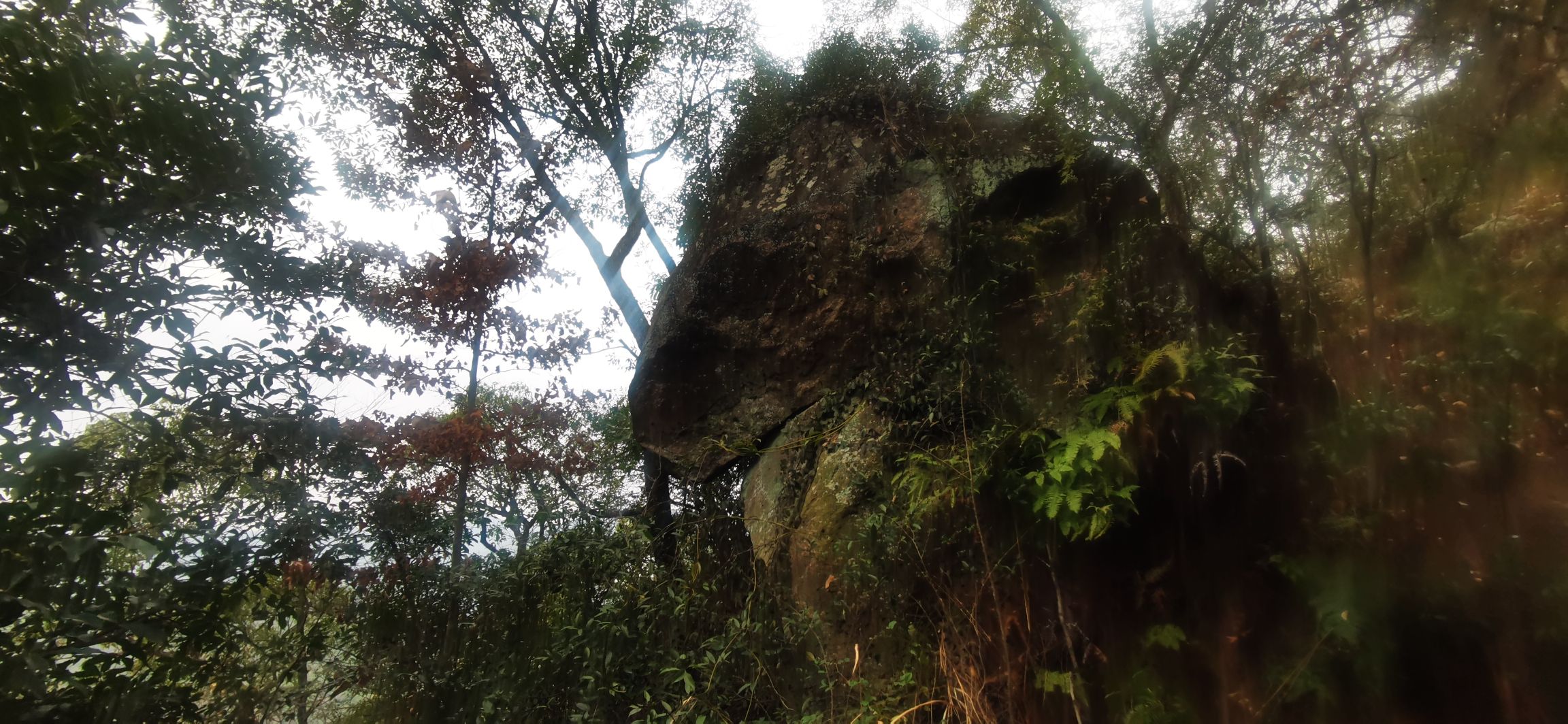 半峰勝境旅行图片 1