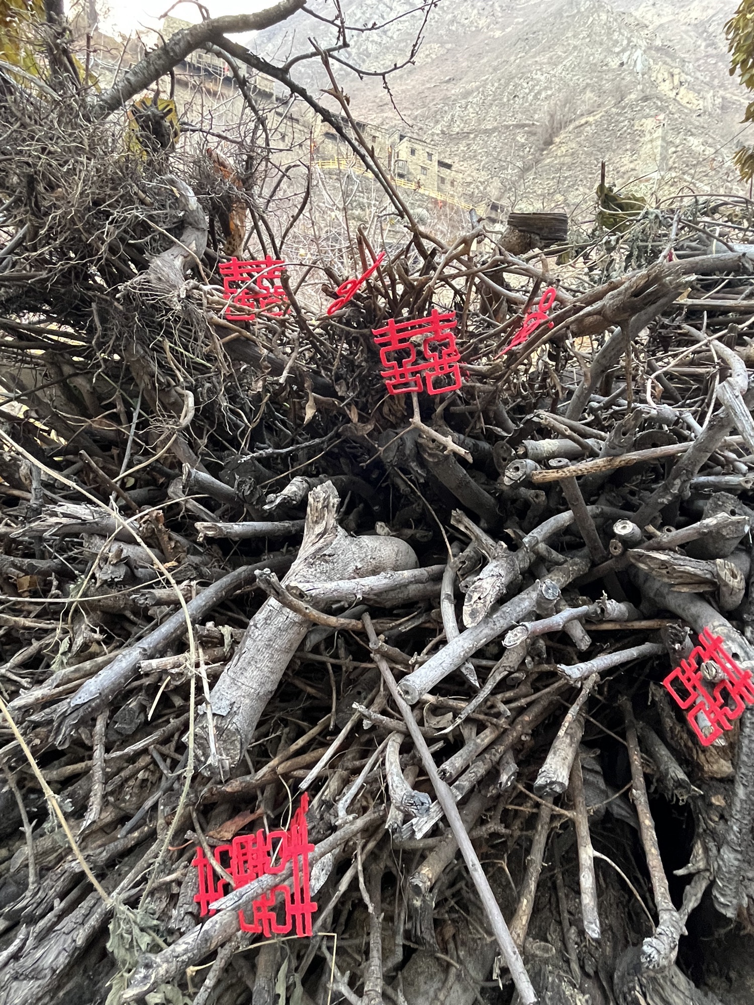 木卡羌寨旅行图片 2