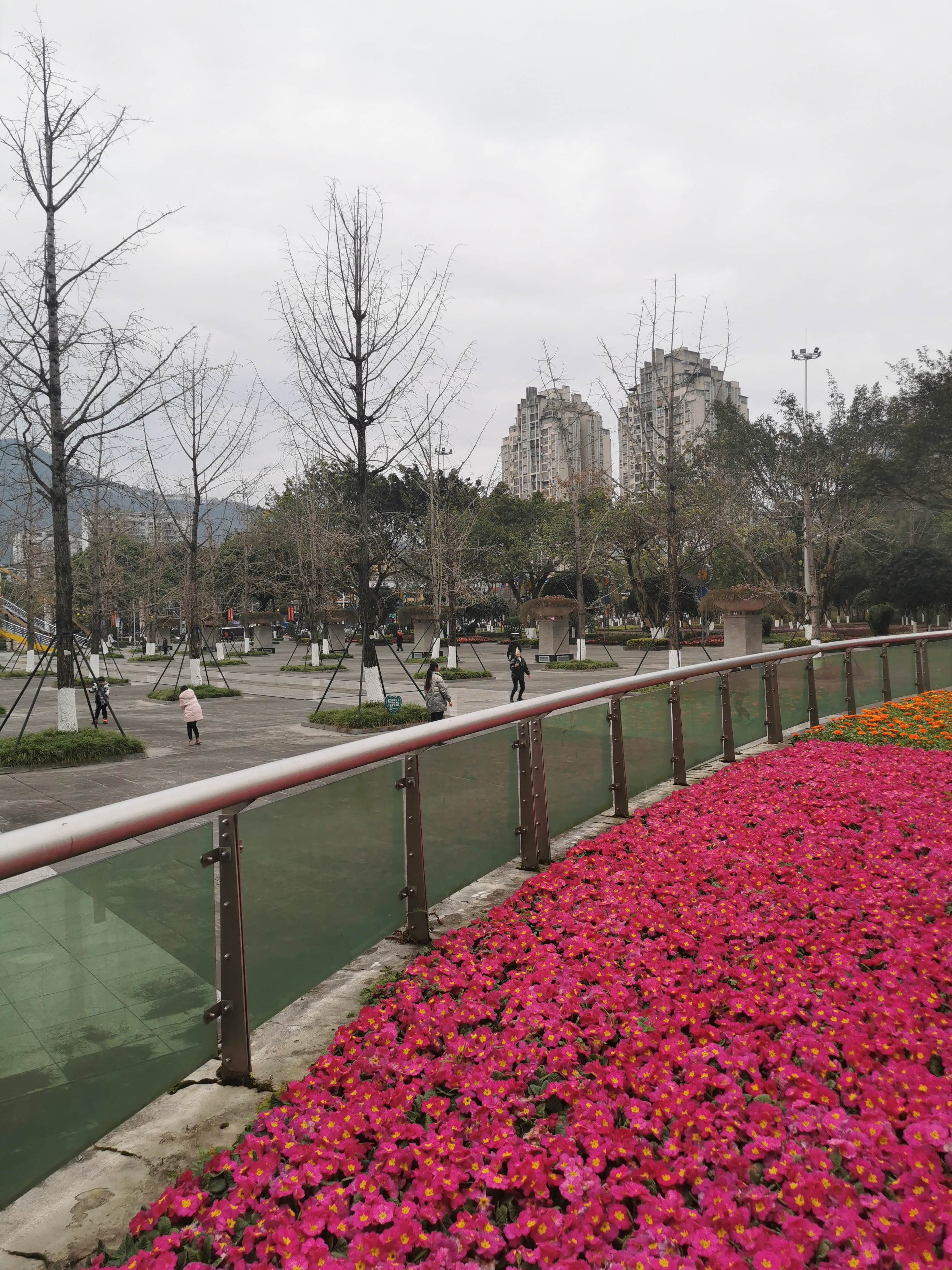 市政广场旅行图片 3