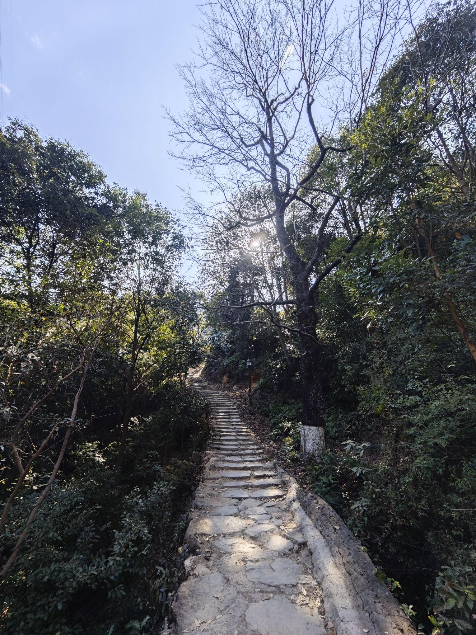 温州市瓯海区瞿溪街道石岩屋古道旅行图片 3
