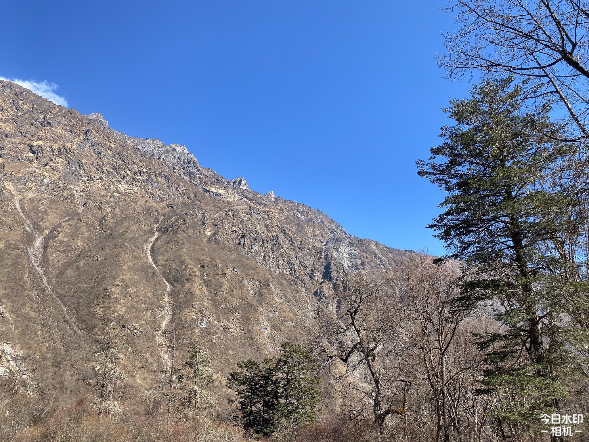 巴旺海旅行图片 2