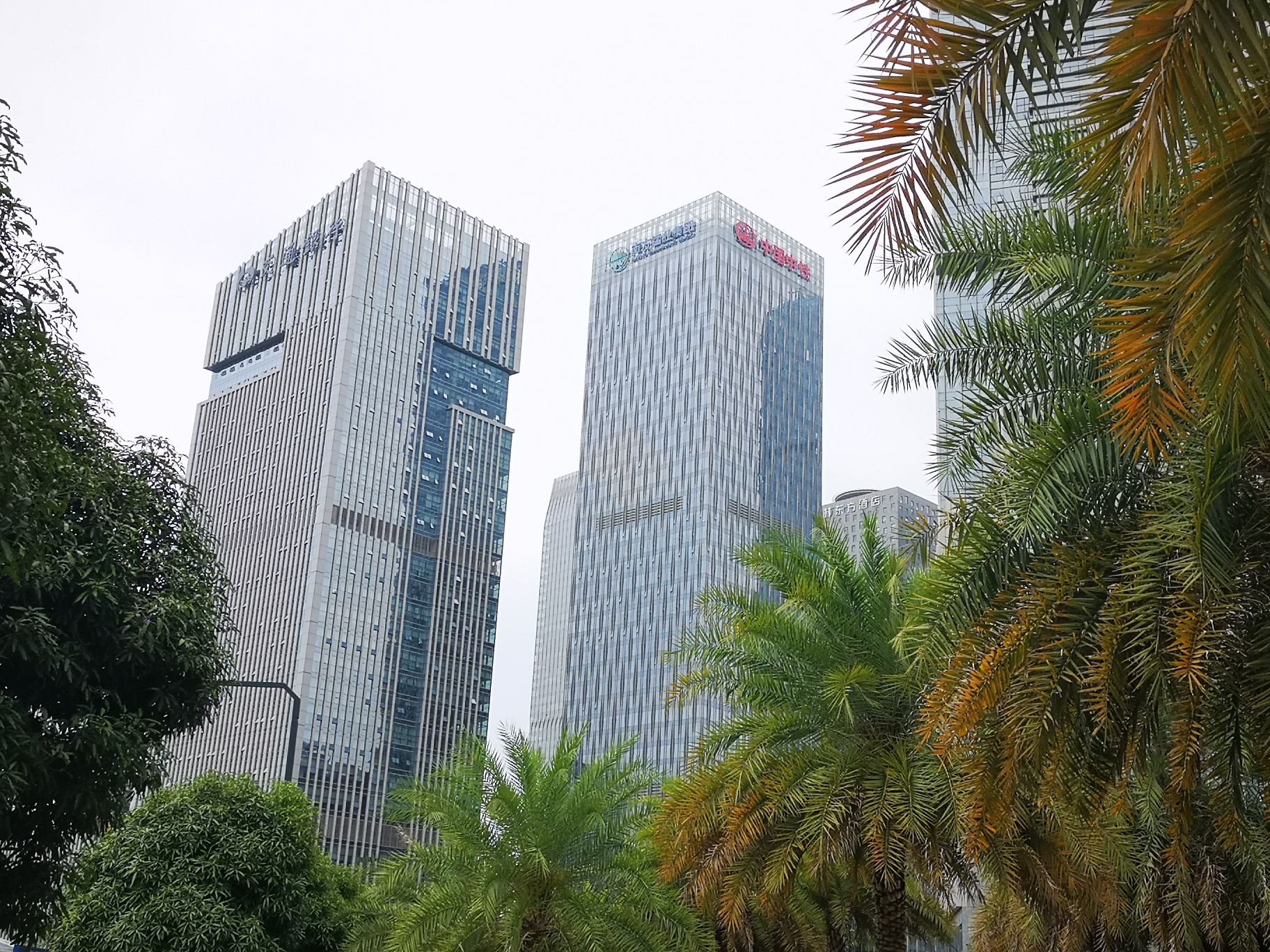 五象新区总部休闲公园旅行图片 3