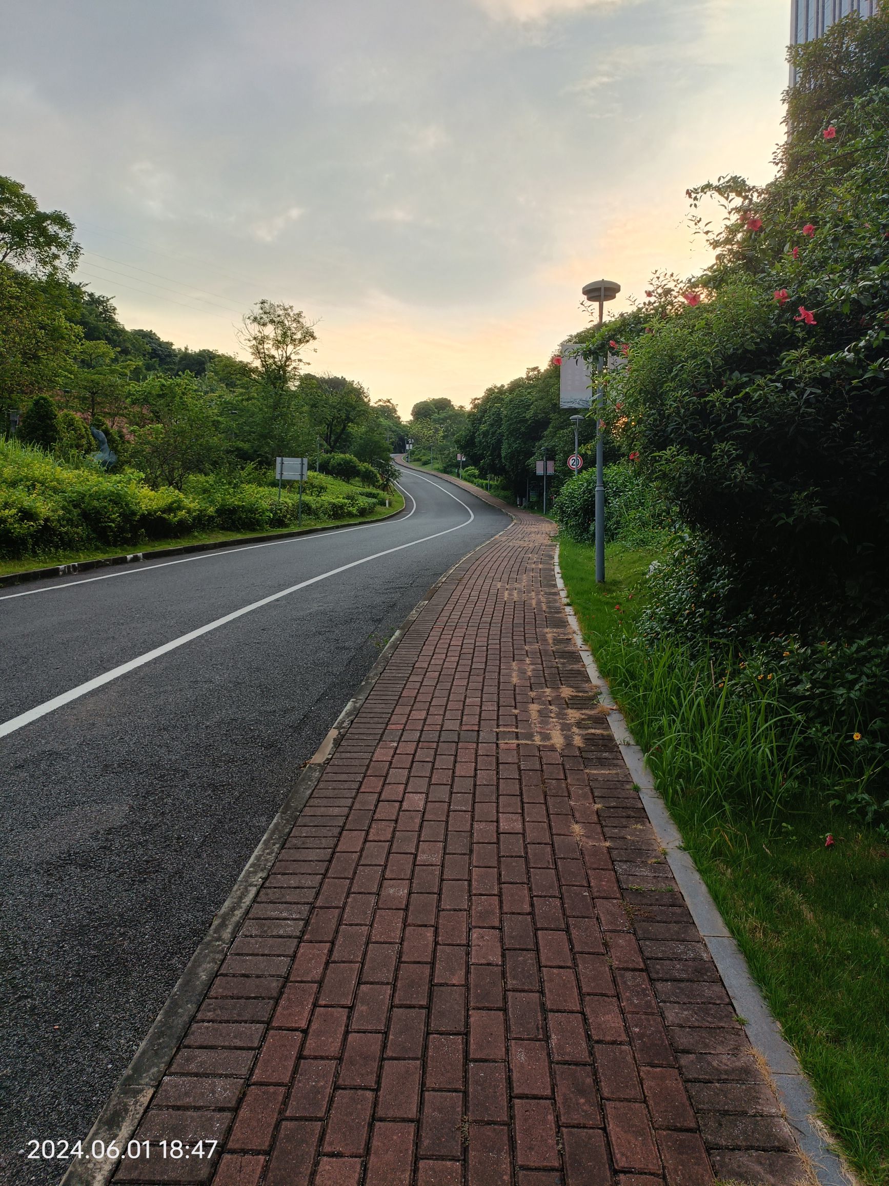 五象新区总部休闲公园旅行图片 3