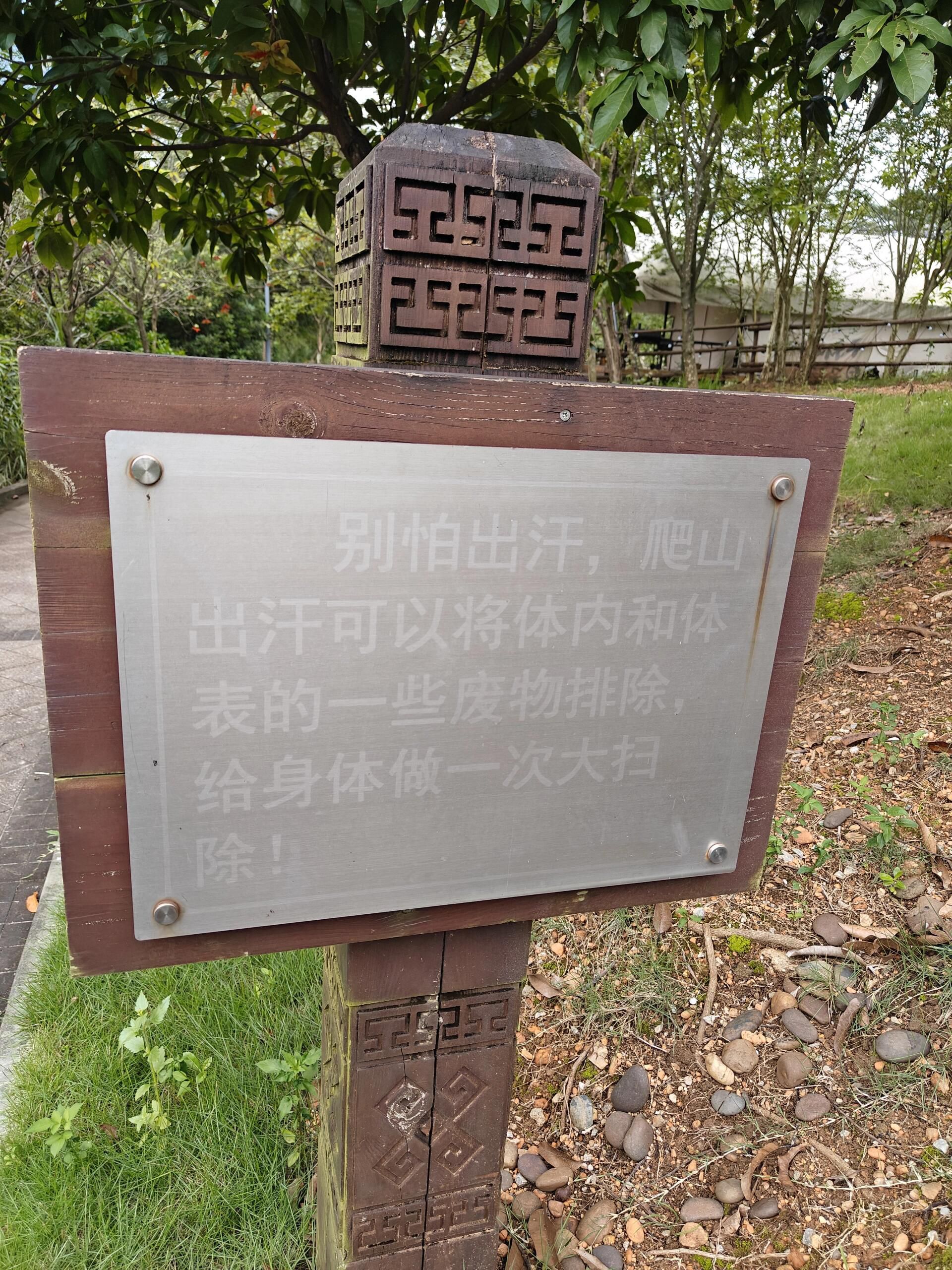 五象新区总部休闲公园旅行图片 2