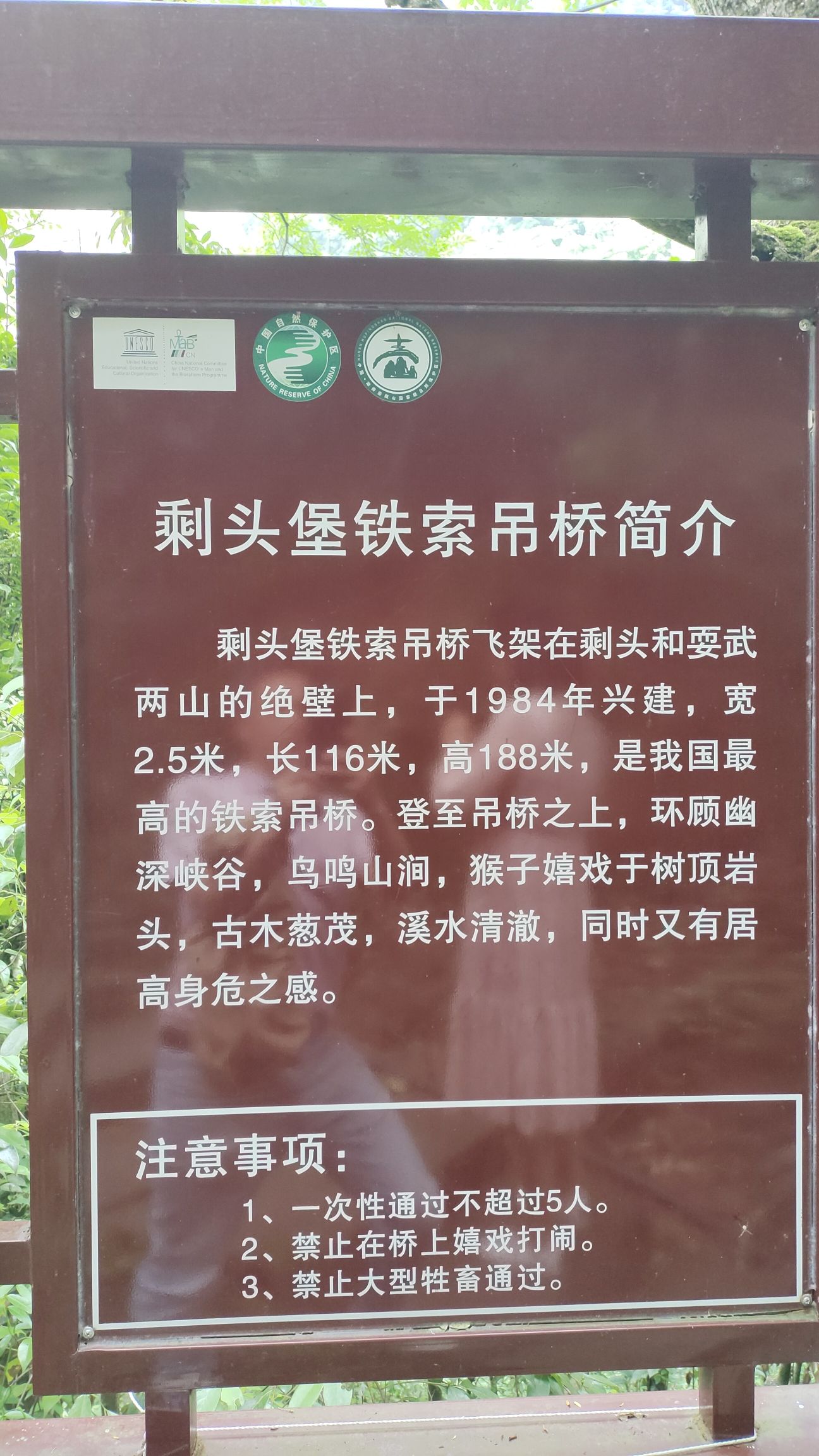 剩头吊桥旅行图片 2