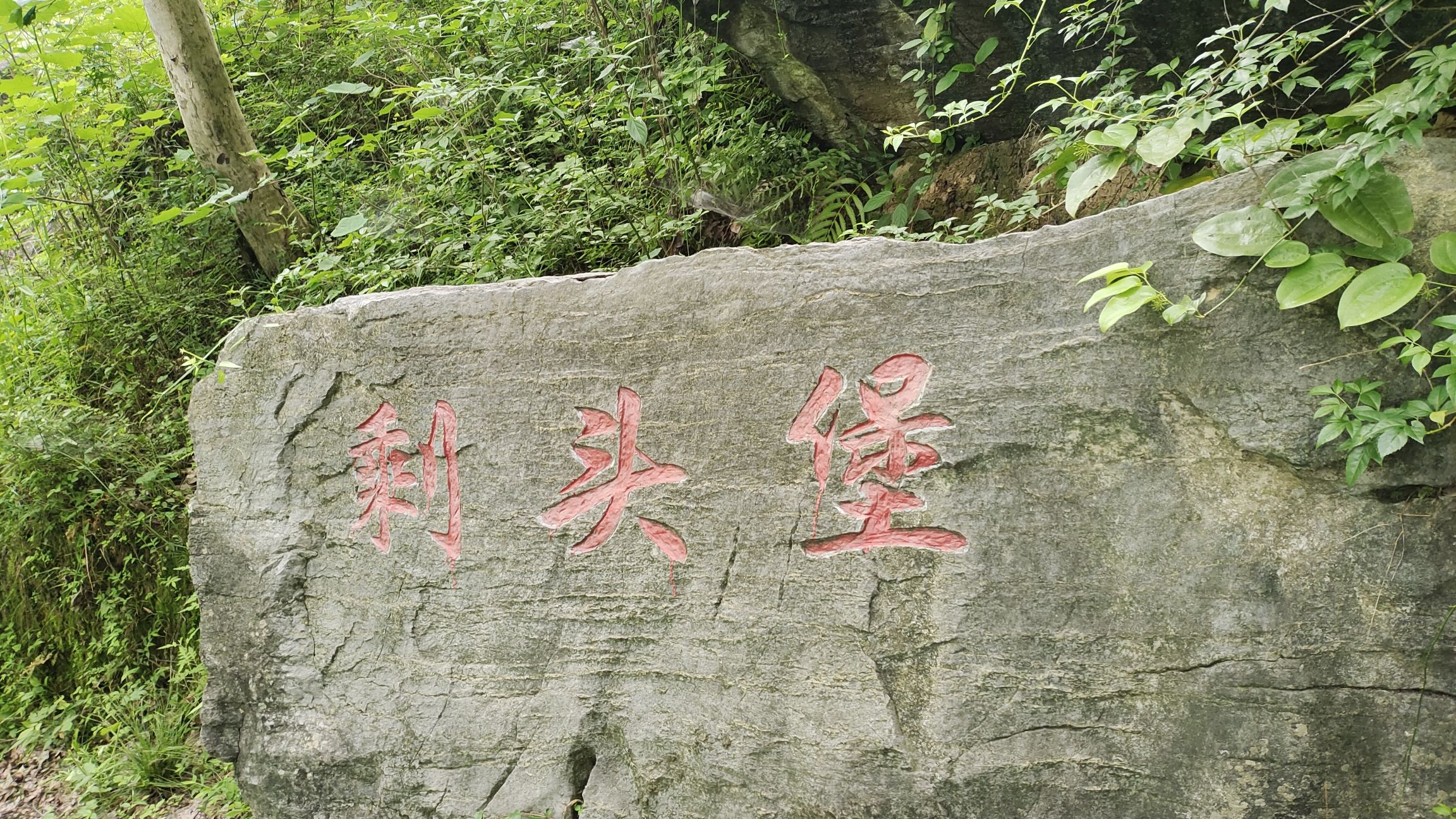 剩头吊桥旅行图片 1