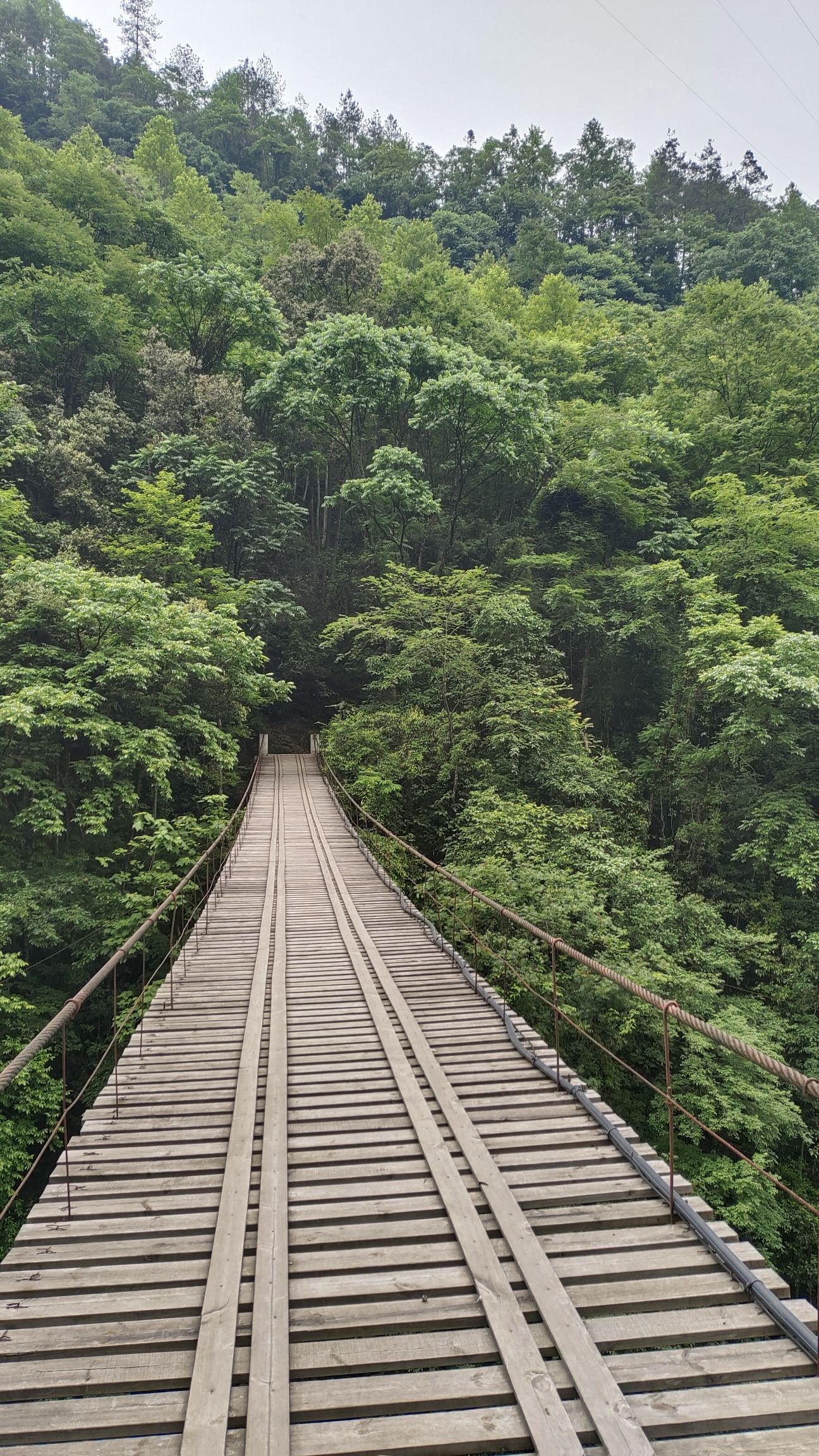 剩头吊桥旅行图片 3