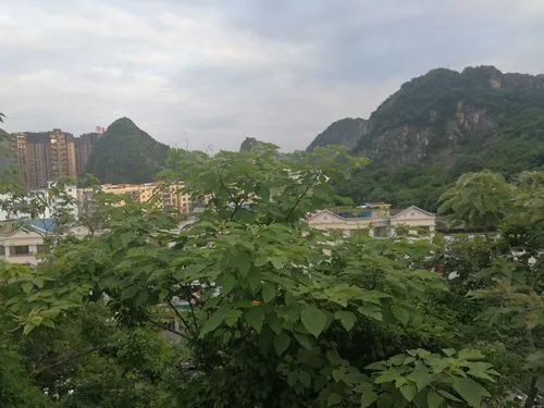 金水公园旅行图片 2