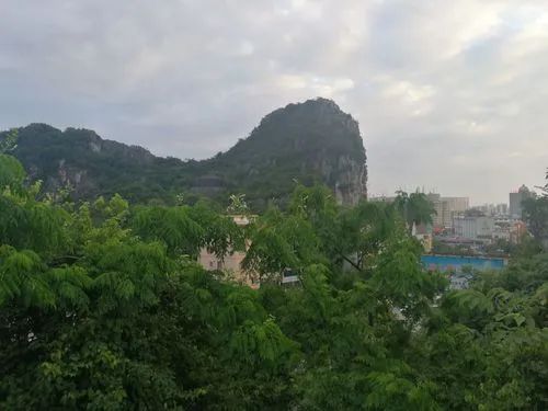 金水公园旅行图片 3
