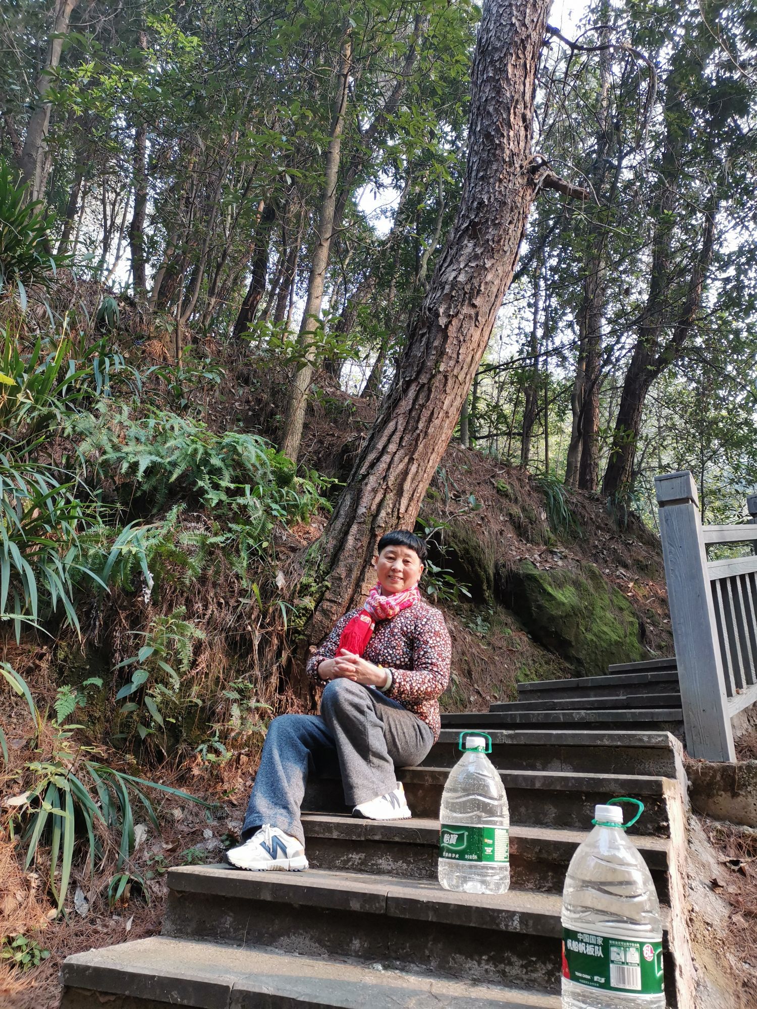 凉风桠森林公园旅行图片 3