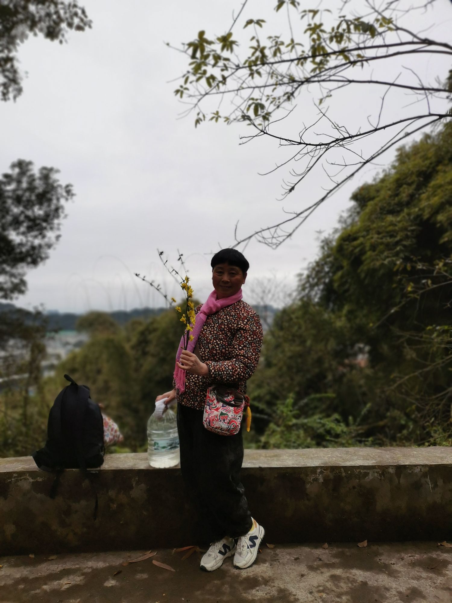 凉风桠森林公园旅行图片 2
