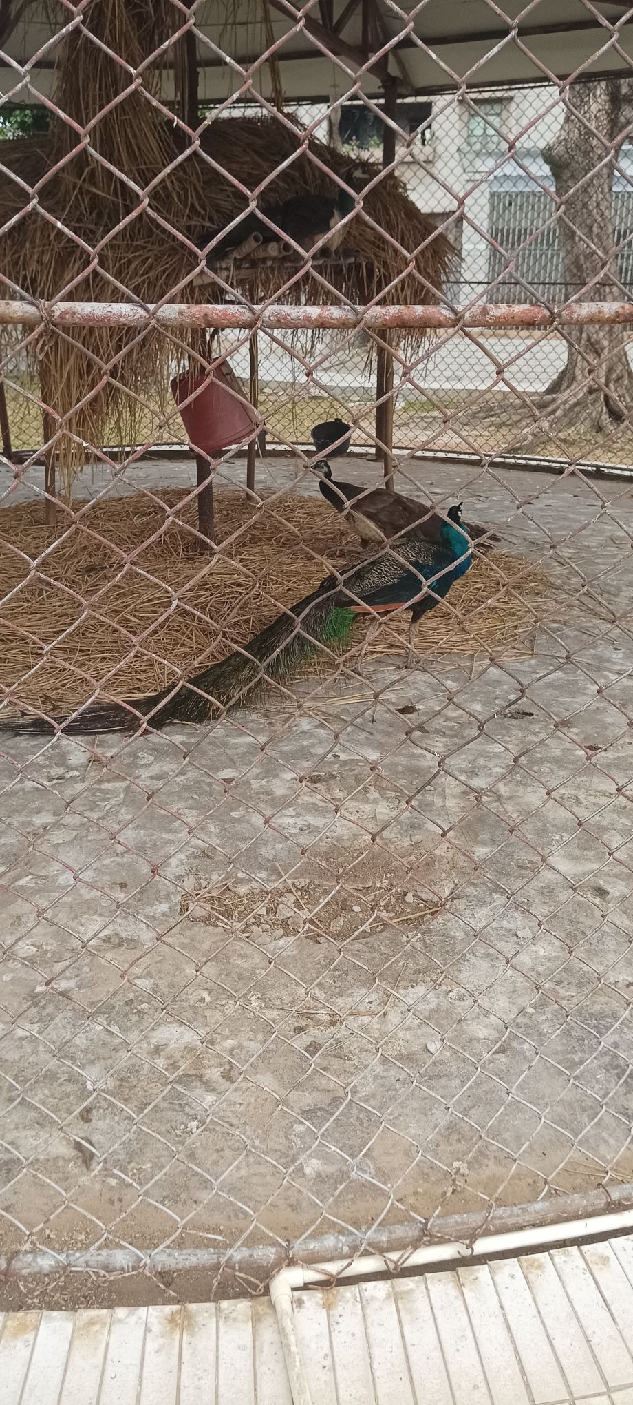 动物园旅行图片 2