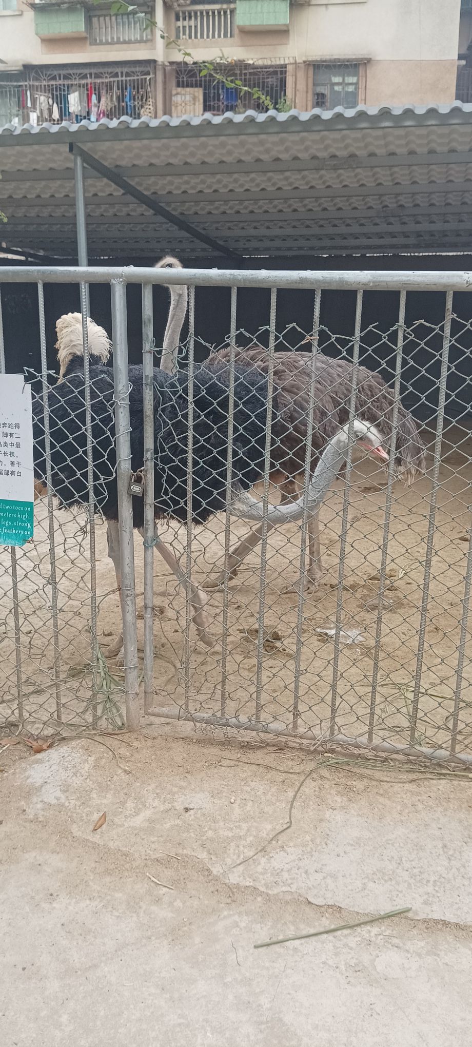 动物园旅行图片 3