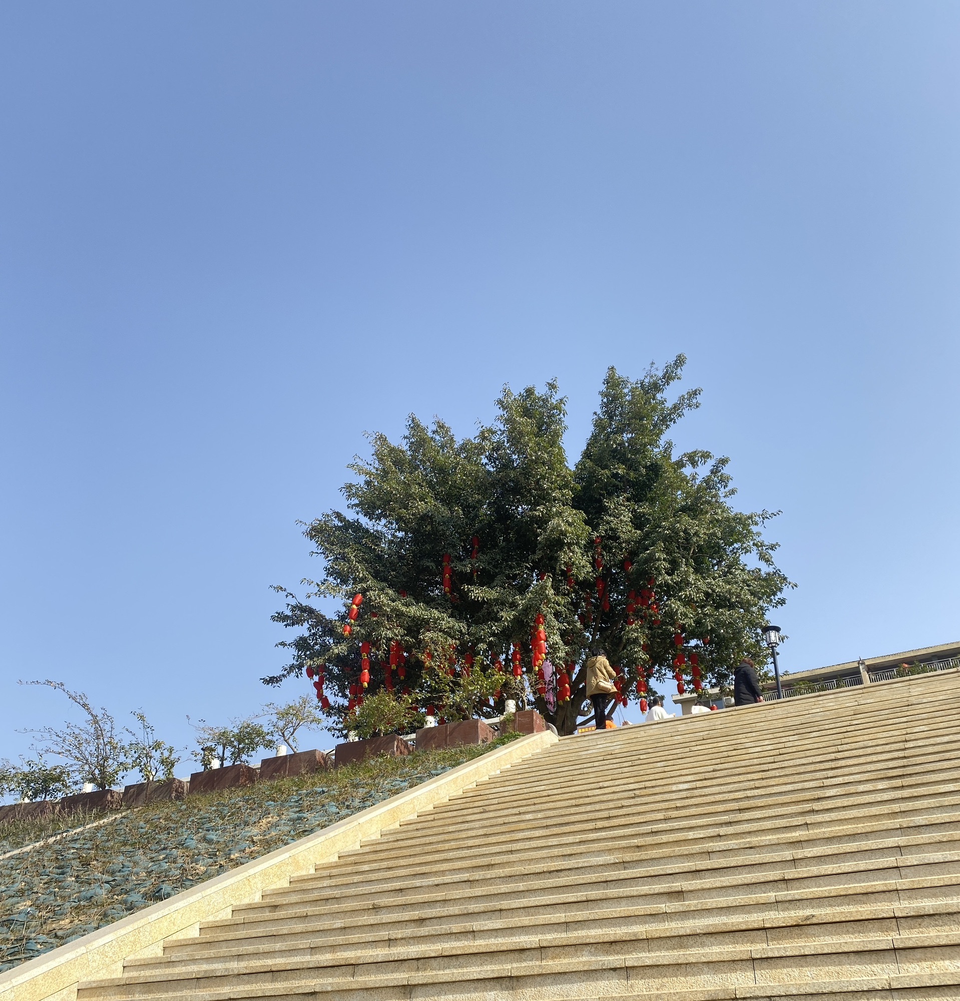 鱼翅广场旅行图片 3