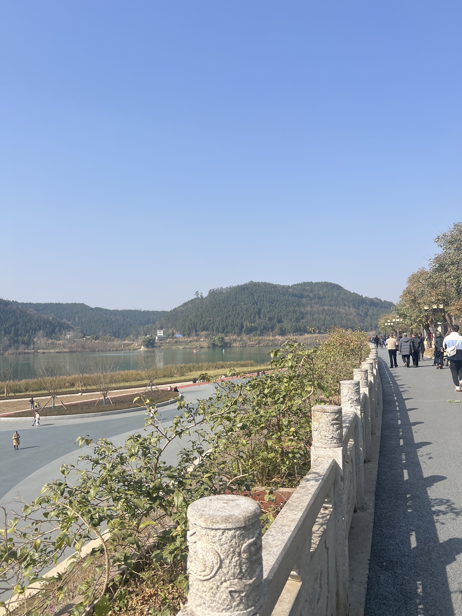 鱼翅广场旅行图片 1