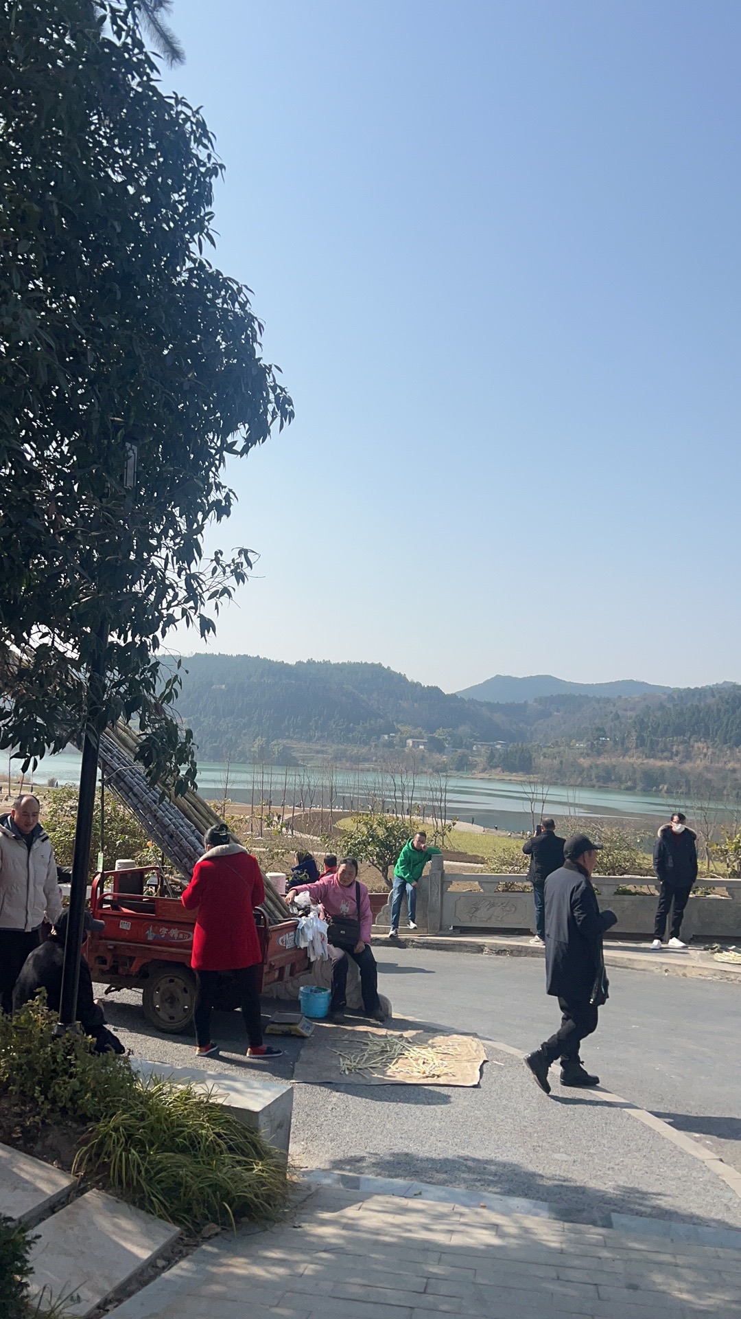鱼翅广场旅行图片 2