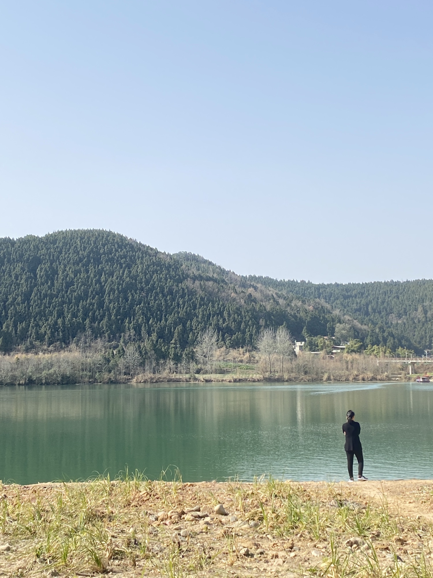 鱼翅广场旅行图片 2
