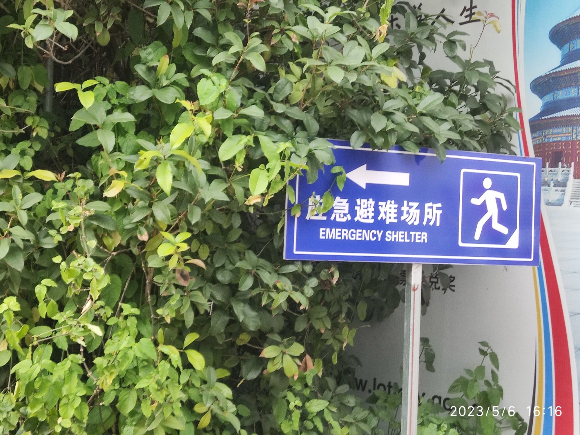 陇上公园旅行图片 2