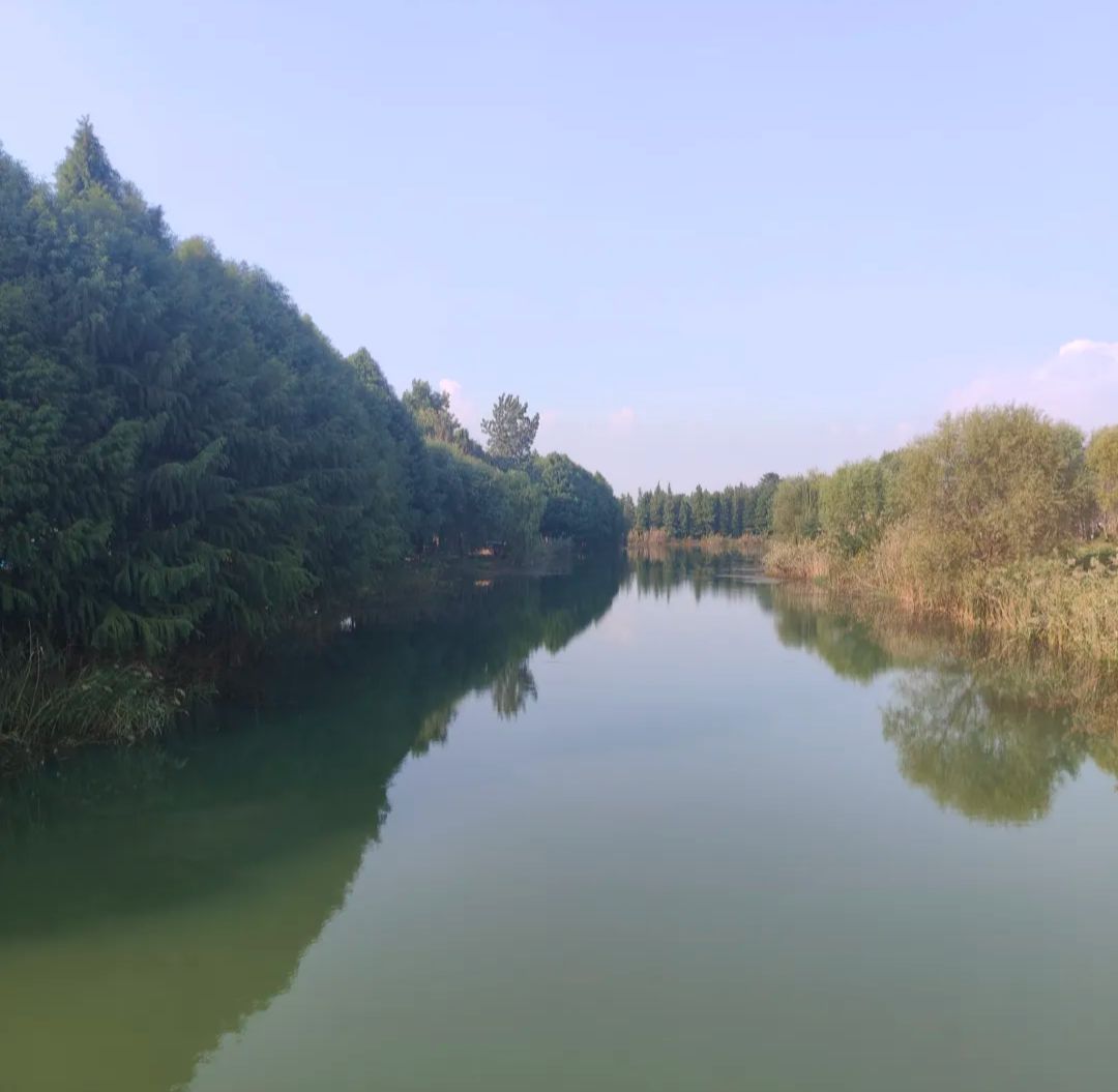 杵山生态公园旅行图片 3