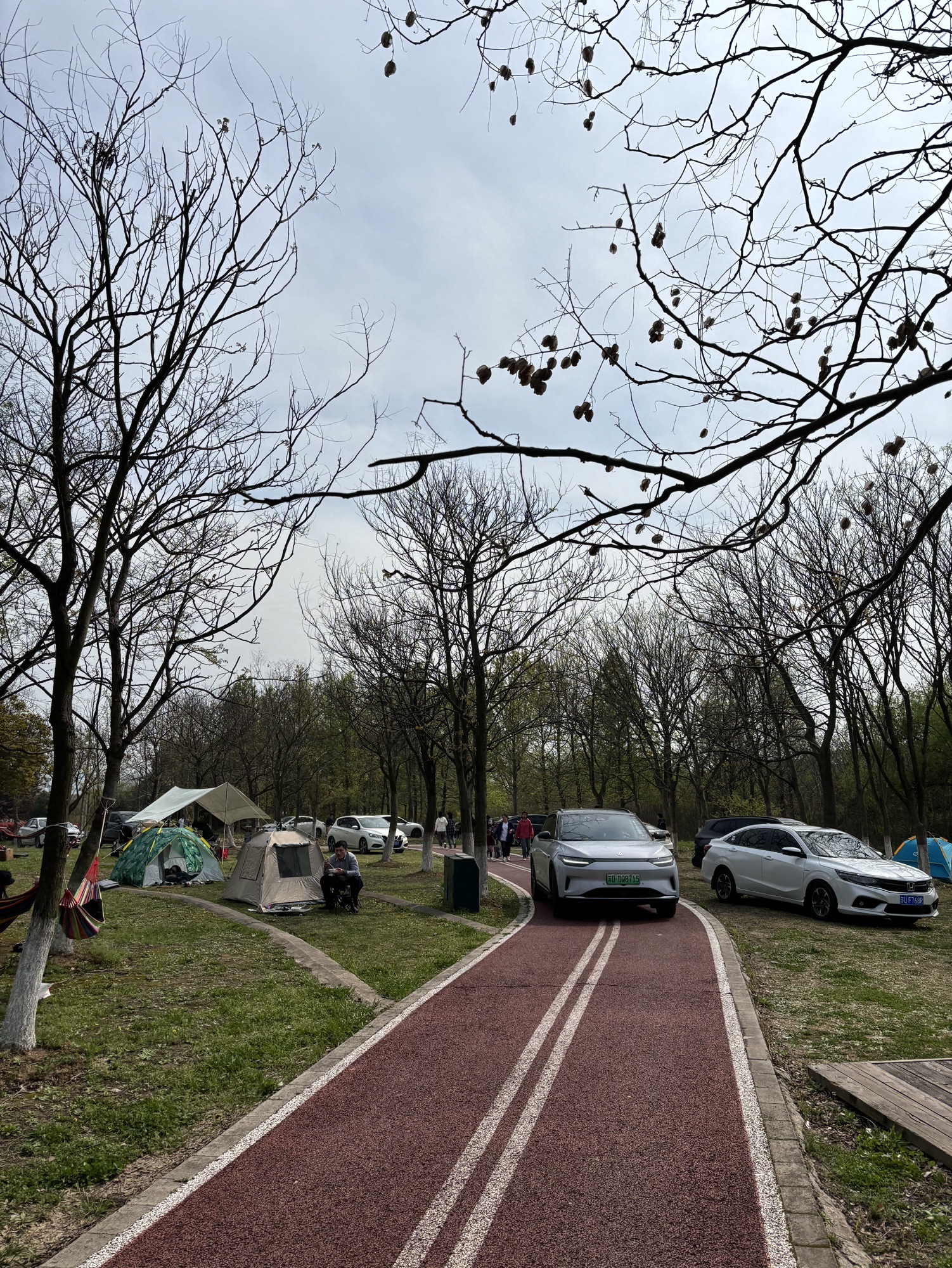 杵山生态公园旅行图片 3