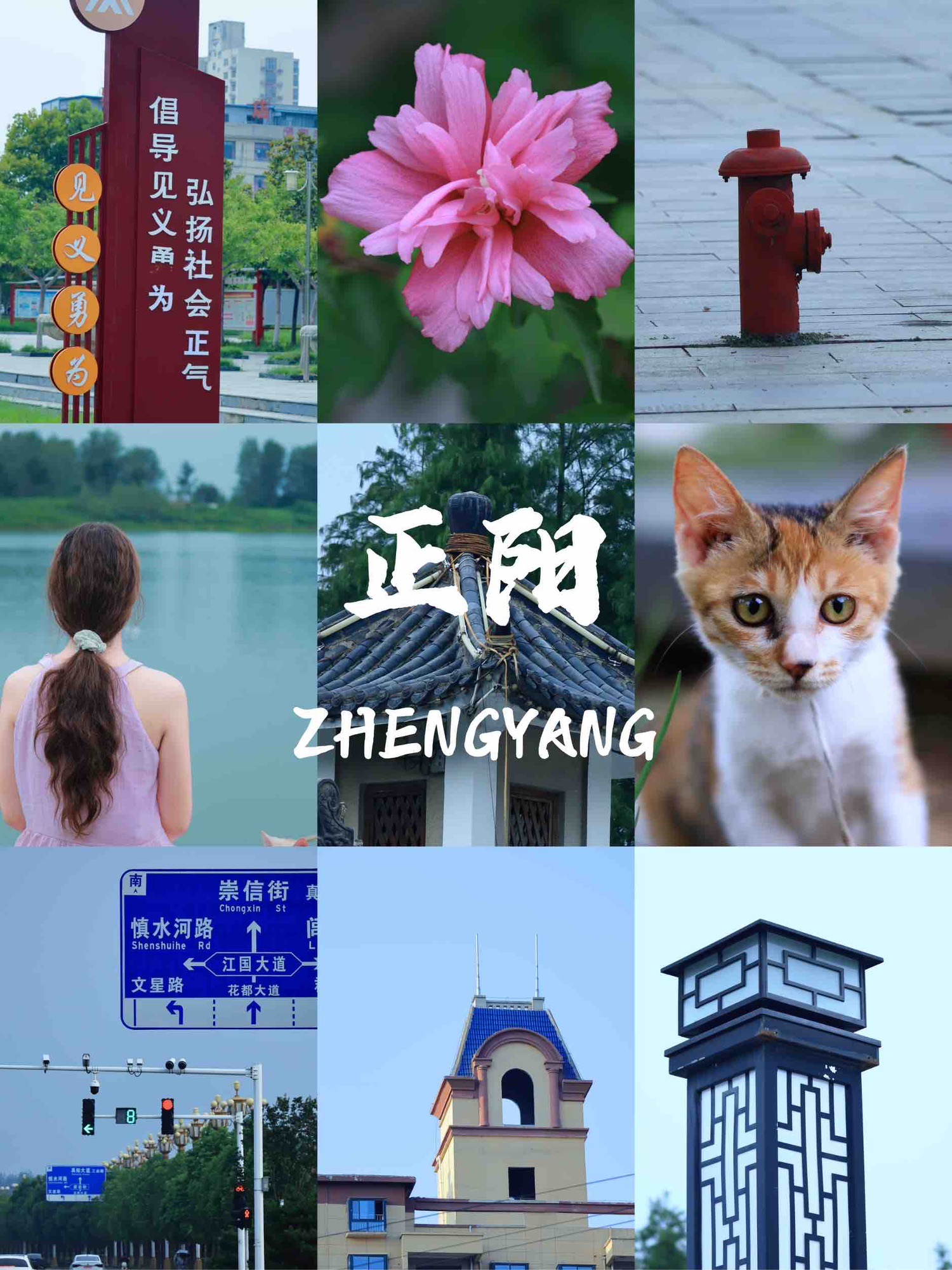 正阳公园旅行图片 1