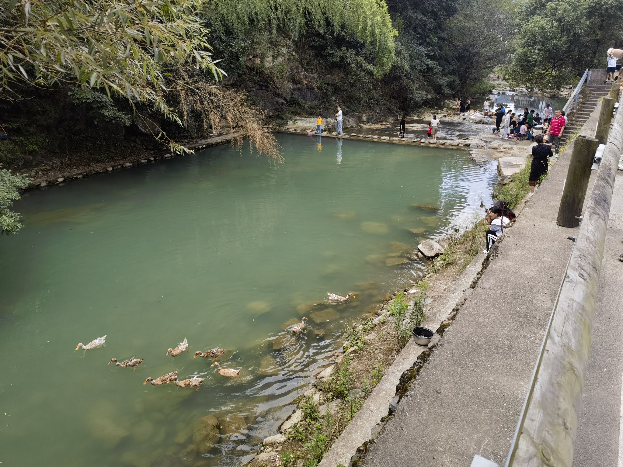双林村三鹿潭旅行图片 3
