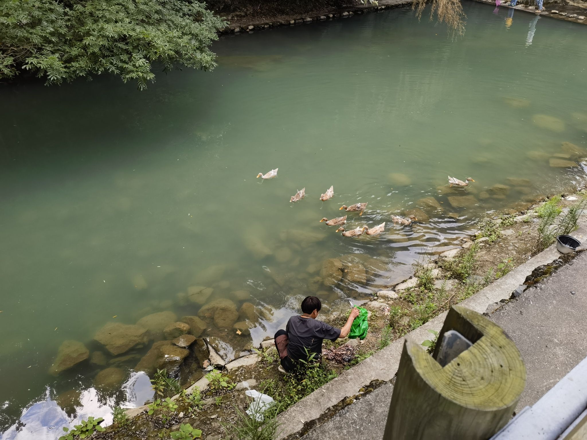 双林村三鹿潭旅行图片 2