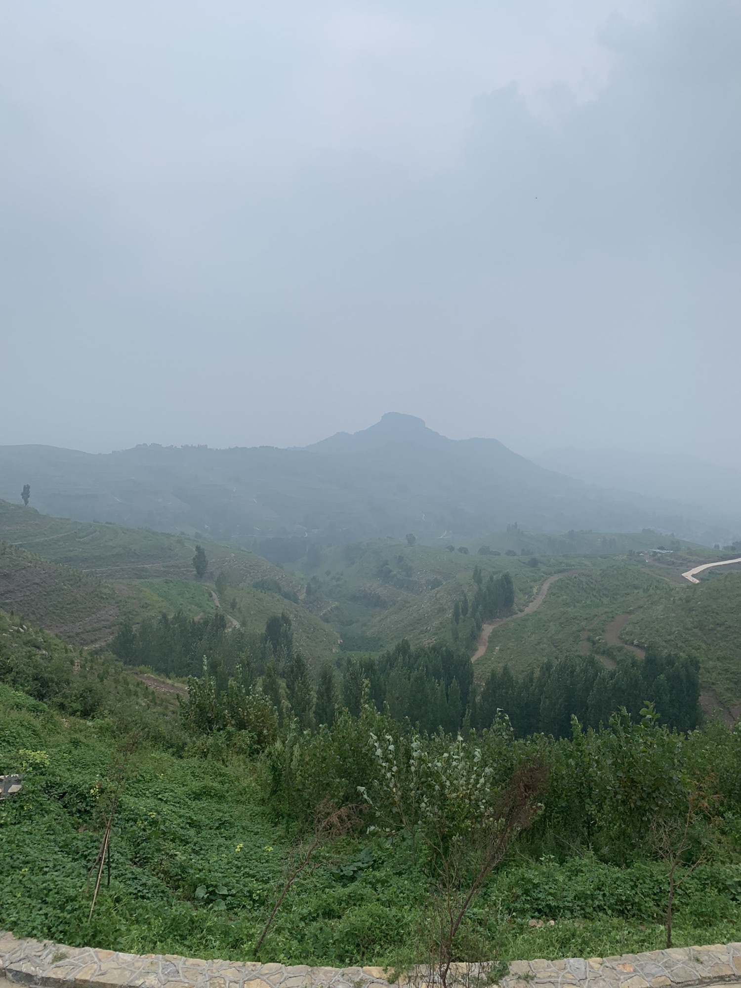 崮上草原旅行图片 2